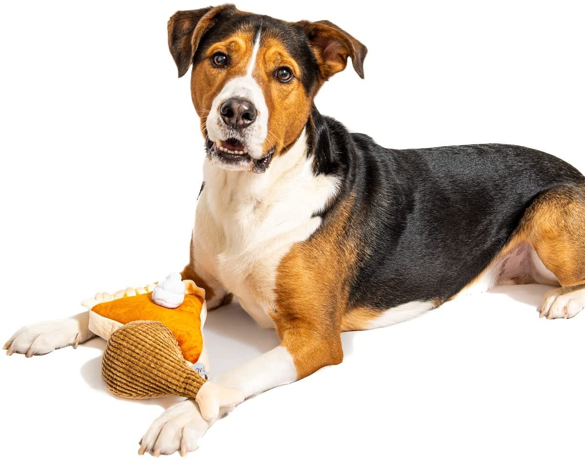 Indestructible Dog Toys 2023  Top Picks & Reviews — Pumpkin®