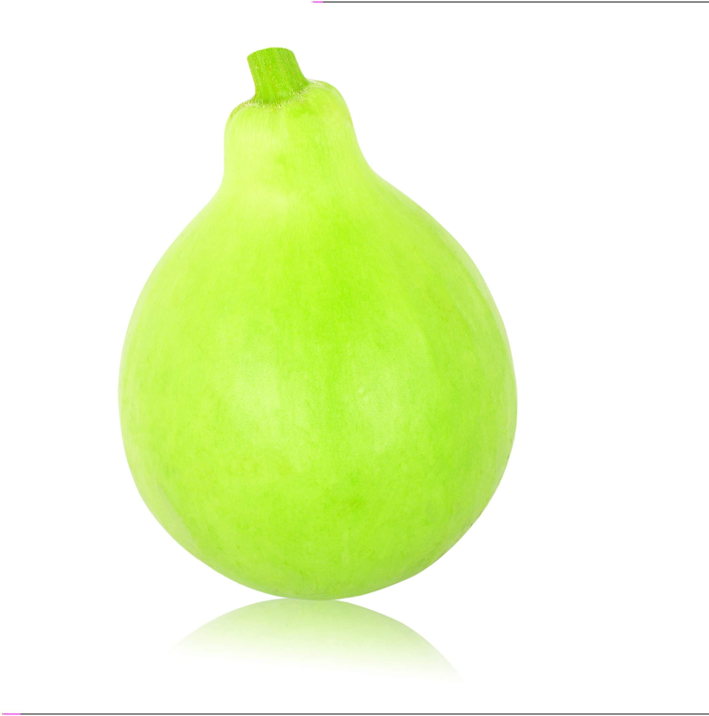 Bottle Gourd Seeds 10+ Seeds Used as Canteen in Antiquity. Exotic