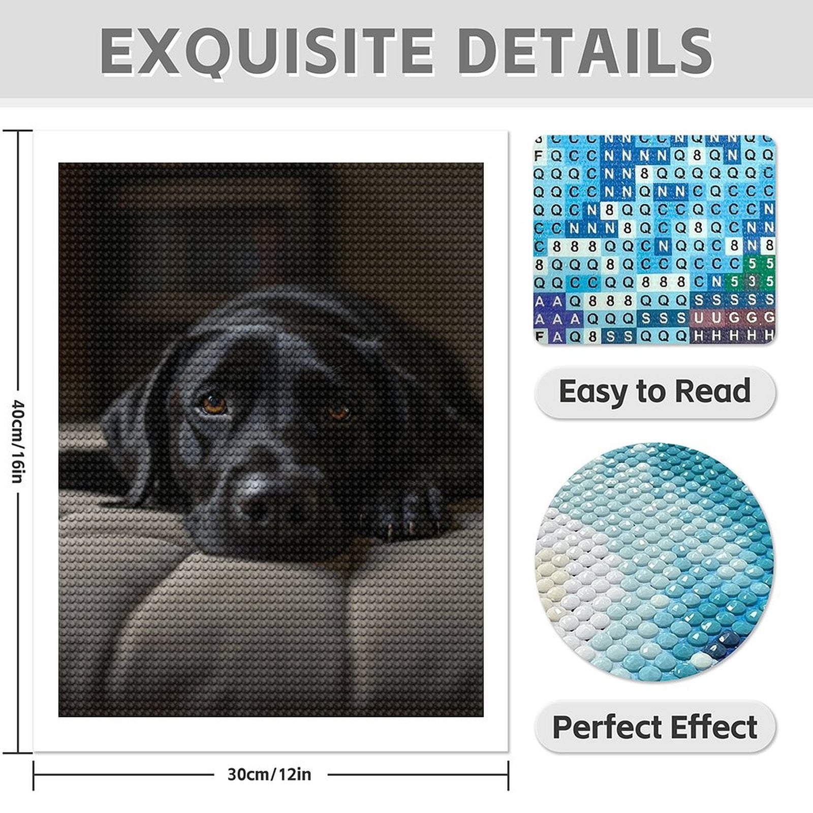Diamond Art Kit for Adults, Black Labrador Dog Relaxing Diamond Painting for Adults Beginners, DIY Diamond Art Painting Kits, 5D Diamond Painting Crafts for Home Decor 12x16 Frameless