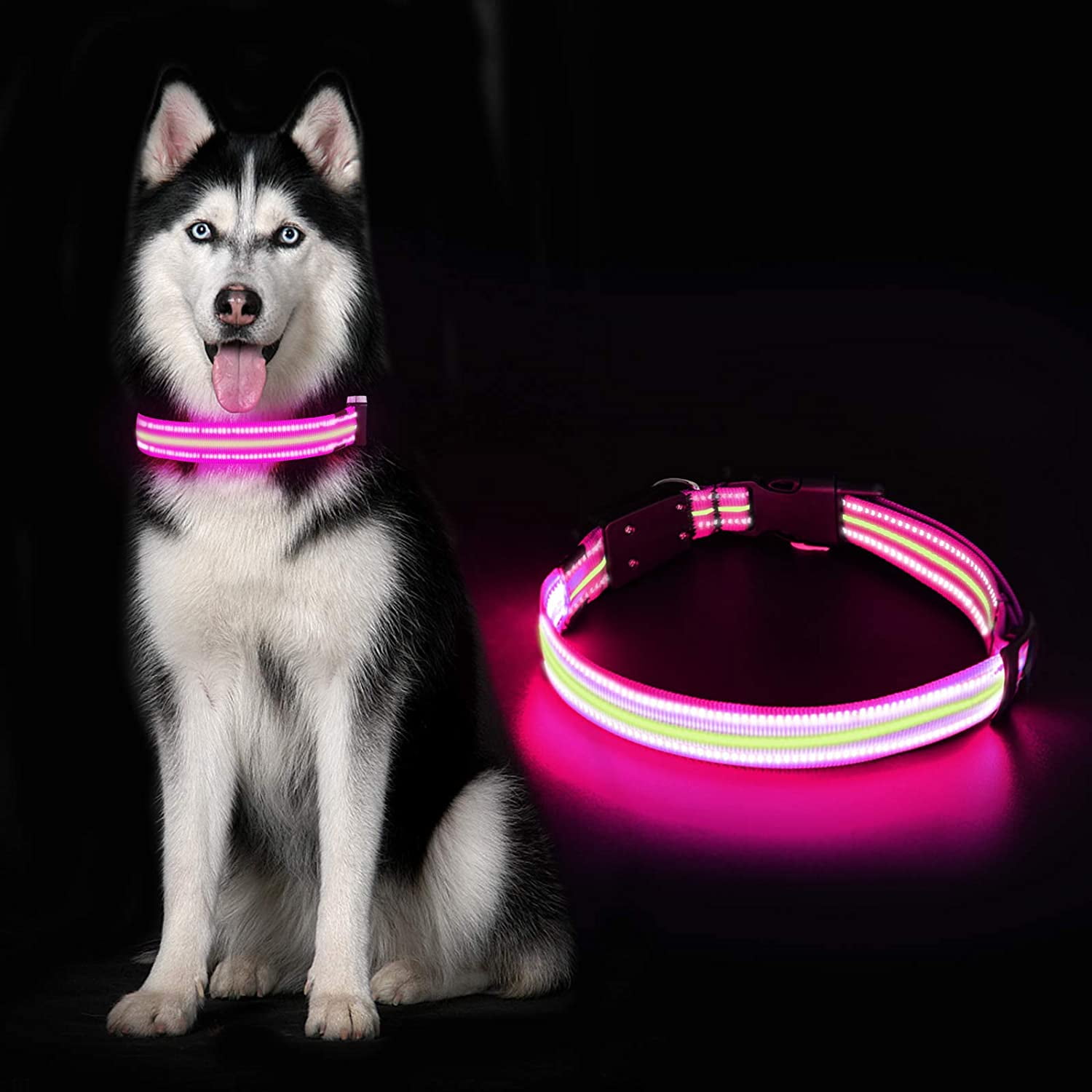 Dog collar light walmart Clearance