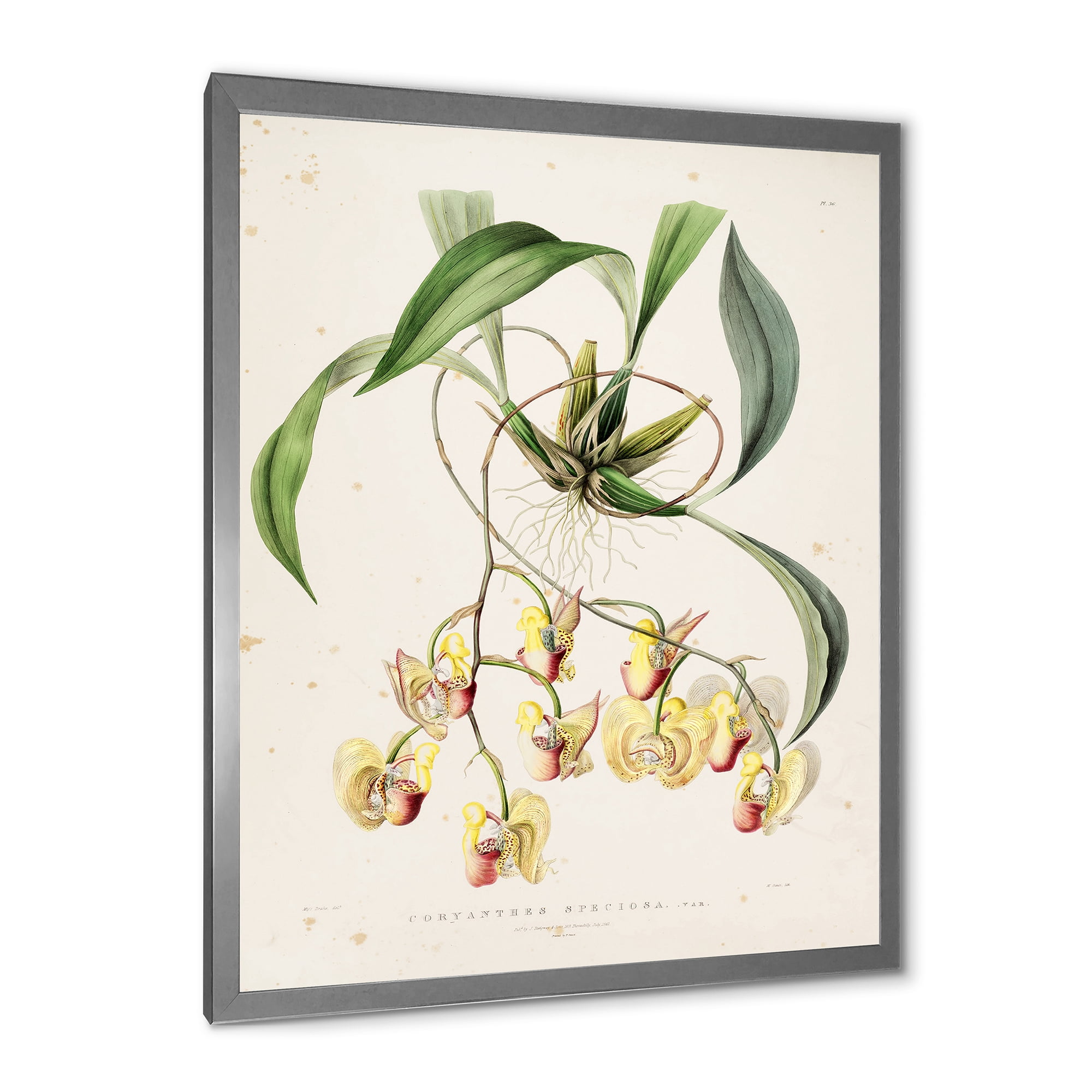 Designart 'Blossoming Vintage Flower I' Traditional Framed Art Print