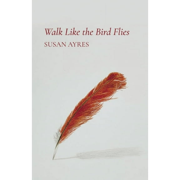 Walk Like the Bird Flies (Paperback)