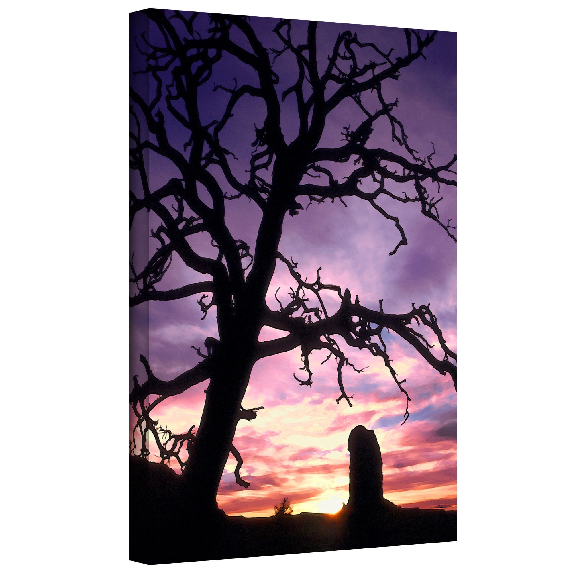 Dean Uhlinger "Maze Sunset Canyonlands" Gallery-Wrapped Canvas