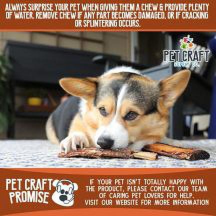Pet Craft Supply Beef Rib Bones All Natural Healthy Dog Chews Treats for Aggressive Chewers Long Lasting Rawhide Free, Premium Grade Slow Roasted for Puppies Small Medium Dogs, Pack of 10