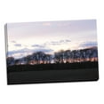 thumbnail image 2 of Gango Home Decor Winter Sunset 1 by Alan Hausenflock (Ready to Hang); One 36x24in Hand-Stretched Canvas, 2 of 4
