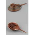 thumbnail image 4 of Simulated Sea Life Animals Figurines Realistic Sea Creature Model Plastic Ocean Animals Action Figure for Collection Science Educational (Horseshoe Crab), 4 of 4