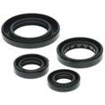 thumbnail image 1 of QuadBoss Oil Seal Set, 1 of 1
