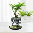 thumbnail image 4 of serony Pot de Plante Jardinière Conteneur de Succulentes Support de Conteneur Pot de Fleurs Rond avec Rocaille, 4 of 9