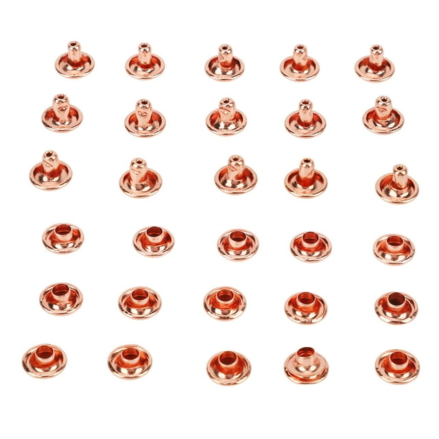 Rivets en Cuir, 100 Ensembles de Clous Métalliques Finition de Luxe