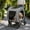 Gray-50LBS, variant on ModFurne 2025 Upgraded Dog Stroller for Large & Medium Dogs，Pet Stroller for 2 Small Dogs with Detachable Carrier for Car Seat, Up to 90 lbs, Grey