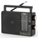 thumbnail image 1 of Radio AM/FM portátil PRUNUS J-03 con altavoz grande, 1 of 6