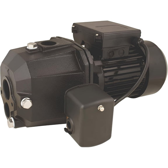Star Water Systems 1 Hp Cast Iron Convertible Jet Pump For 2 Pipe Wells