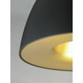 thumbnail image 4 of ET2 Lighting E24914-BKSBR 16 in. Fungo LED Pendant in Black & Satin Brass, 4 of 5