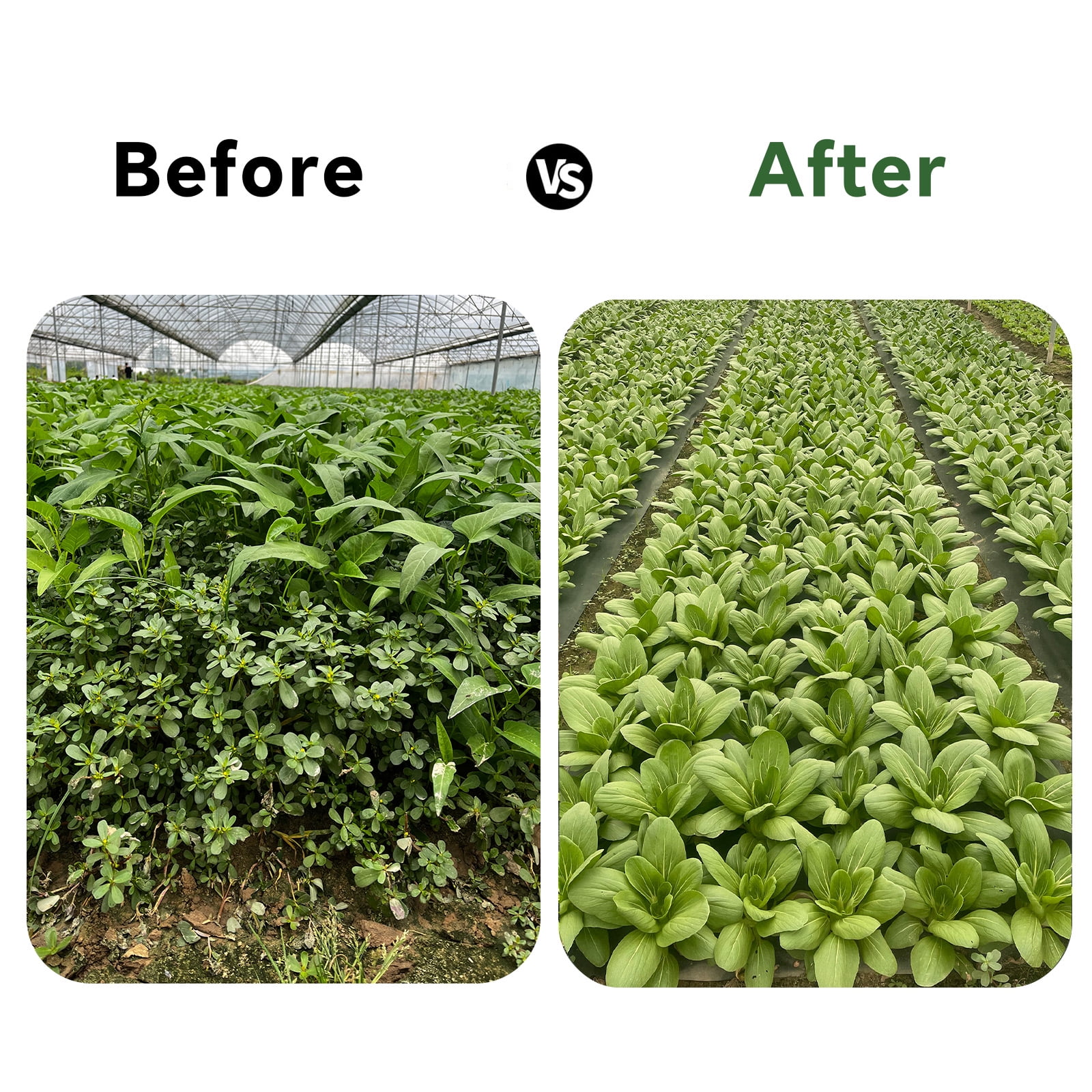 VividGarden Perforated Non-Woven Weed Barrier Fabric, 2.62 ft Wide And 45 ft Long, Includes 12 Premium garden stakes
