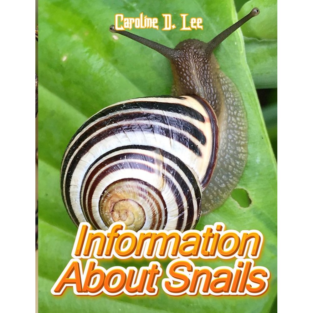 Information About Snails Animal Fact for Girl Age 110 Animal Fact for
