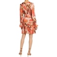 thumbnail image 2 of Santorelli womens  A-Line Dress, 46, Brown, 2 of 3
