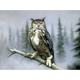 thumbnail image 2 of Pautov, Igor 32x25 White Modern Wood Framed Museum Art Print Titled - Owl in Winter, 2 of 4
