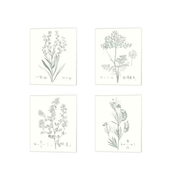 Great Art Now Botanical Study in Sage by Vision Studio 4 Piece Canvas Art Set Each 12"W x 15"H