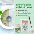 thumbnail image 4 of Freddie Toilet Cleaner Sheets - Fresh Pines Scent - Plastic Jug-Free Alternative to Liquid Cleaners - 32 Dissolvable Cleaning Strips, 4 of 5