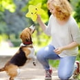 thumbnail image 3 of Dog Interative Star Shaped Squeaky for Cat Teaser Soft for Dogs Puppy Training, 3 of 4