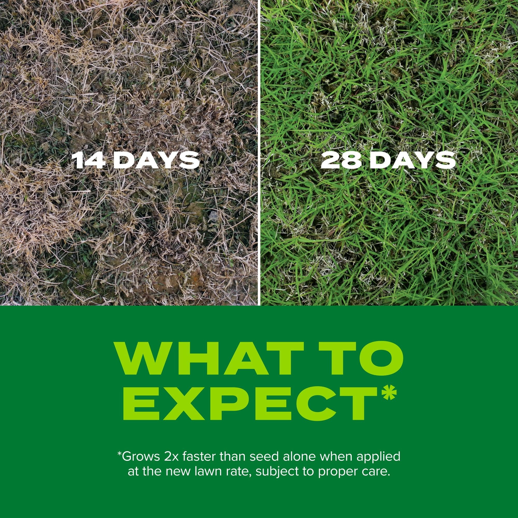 Scotts Co. Scotts Turf Builder Rapid Grass Bermudagrass Seed