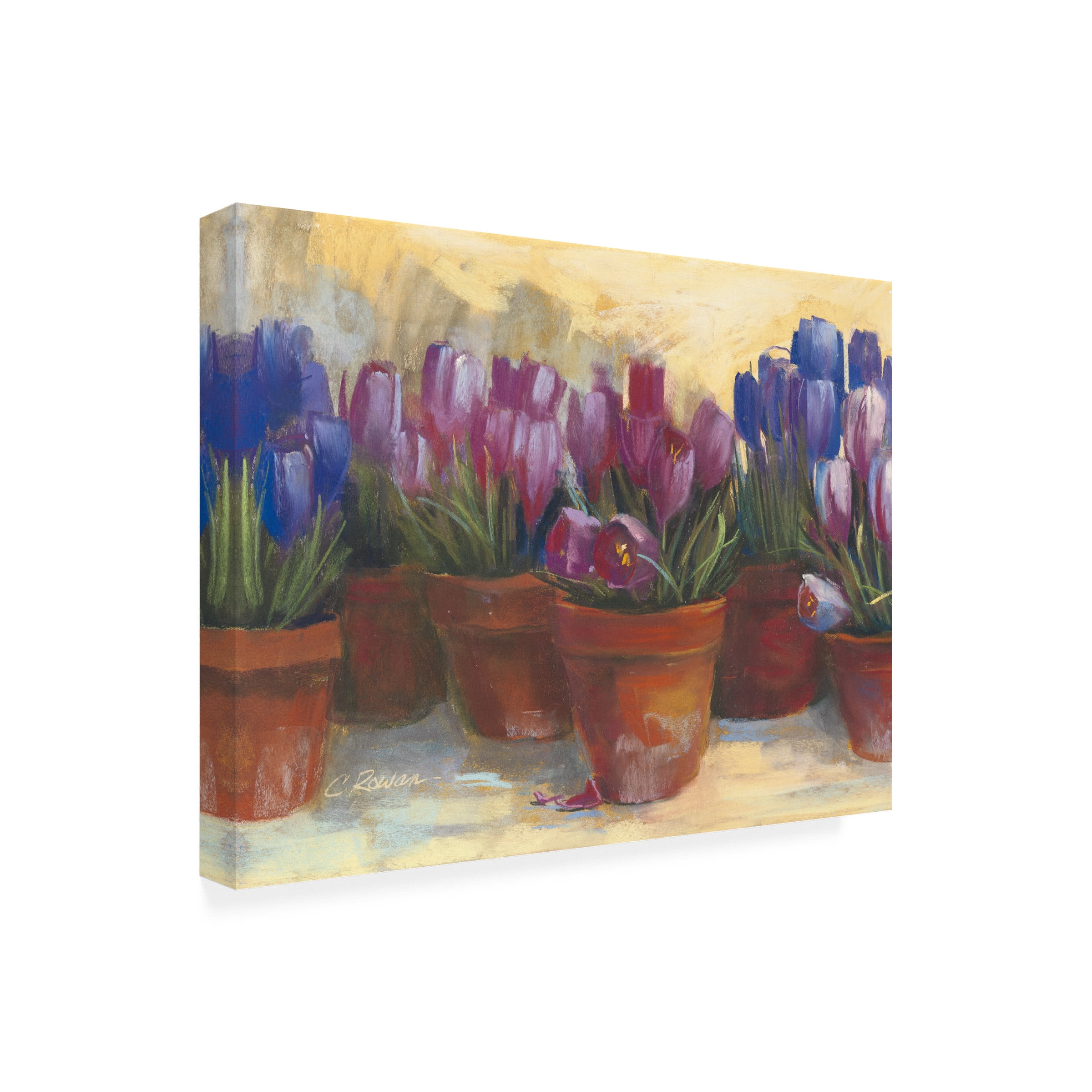 Carol Rowan 'Spring Crocus' Outdoor Canvas