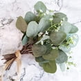 thumbnail image 6 of 24Pcs Artificial Eucalyptus Leaves Stems with Berry Fake Glass Greenery Plants for Holiday Greens Wedding Gift Box Christmas Decor, 6 of 8