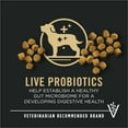 thumbnail image 3 of Purina Pro Plan High Protein Toy Breed Puppy Food DHA Chicken and Rice Formula, 3 of 12