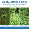 thumbnail image 5 of Scotts Halts Crabgrass & Grassy Weed Preventer 20.12 lb., 5 of 11