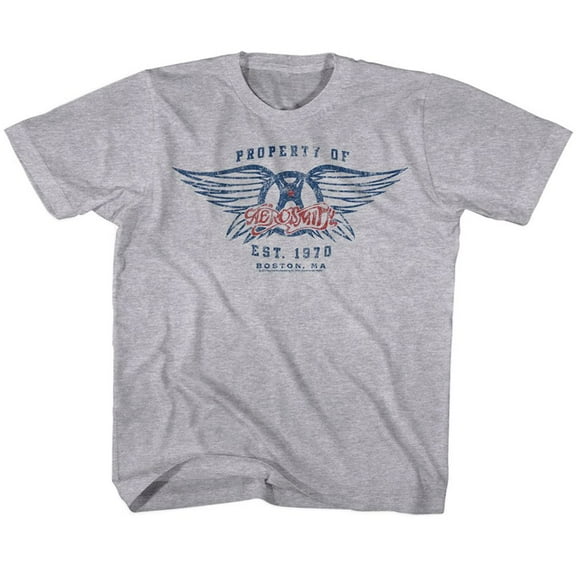 Aerosmith Est 1970 Graphite Heather Youth T-Shirt L
