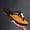 Orange, variant on Hot Selling New Model Lulu'An Summer Thick Sole Flip Flops Sandals Men'S Slippers Outdoor Non-Slip Fashion New Beach Shoes Slippers