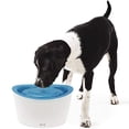 thumbnail image 1 of Dogit Fresh & Clear Drinking Fountain, Elevated Dog Water Dispenser, Original (Packaging May Vary), 1 of 7