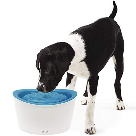 Dogit Fresh & Clear Drinking Fountain, Elevated Dog Water Dispenser,  Original (Packaging May Vary) | Walmart Canada