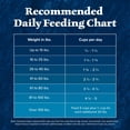 thumbnail image 4 of Blue Buffalo Wilderness Senior High Protein Dry Dog Food Plus Wholesome Grains, Chicken, 24 lbs., 4 of 12