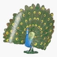 thumbnail image 4 of Peacock Toys, Simulation Peacock Model Decorative Ornament Educational Props  For Bird Lovers, 4 of 8