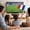 C, variant on TechToyHub Hand Wave Small Flags 8.3x5.5 Inches Small Hand Flags for Sports Games Fan Parties Bar Decor,Portable Lightweight Cheering Flags with Plastic Pole,Fabric Waterproof Durable