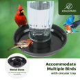 thumbnail image 3 of Comedero de agua para pájaros Kingsyard de vidrio de 500 ml con colgante de metal, 3 of 8