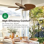Lucci Air Bali 52 Outdoor Indoor/Outdoor Ceiling Fan with Light and Remote, Rustic Wood Ceiling Fan with Lights, Damp Rated, Energy Efficient DC Motor