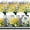 Purple,yellow,white, variant on Artificial Flowers, 16 Bundles Fake Flowers for Outdoor UV Resistant Faux Plants No Fade Lavender Daisy Flowers Greenery Shrubs Home Wedding Porch Cemetery Indoor(Purple,Yellow,White)