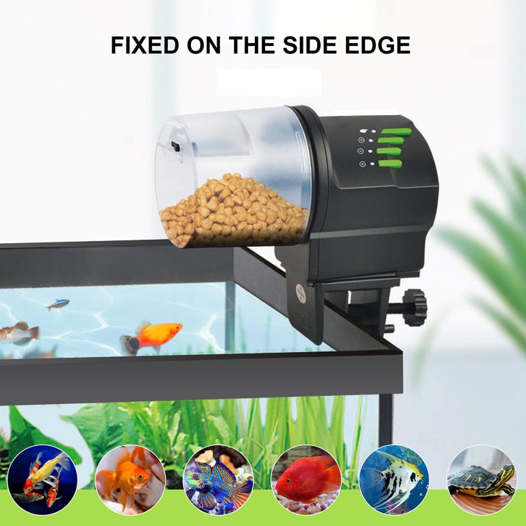 DXOPHIEX Automatic Fish Feeder Food Dispenser Vacation Fish Feeder Powered  by Battery and USB for Fish Tank Aquarium and Turtle Tank with Feeding Ring  