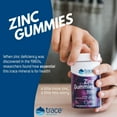 thumbnail image 5 of Trace Minerals | Zinc Chewable Gummies | Natural Immune Support Booster for Adults and Kids | Vegan, Gluten Free, Non-GMO | Elderberry Flavor | 30mg of Servings, 1 Pack, 5 of 6