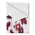 thumbnail image 2 of Fruit Soft Flannel Fleece Blanket, Vine Branch with Colorful Grapes Agriculture Themed Illustration Healthy Food Options, Cozy Plush for Indoor and Outdoor Use, 60" x 80", Multicolor, by Ambesonne, 2 of 5