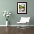thumbnail image 3 of Trademark Fine Art 'Iao Valley Maui' Canvas Art by Pierre Leclerc, White Matte, Wood Frame, 3 of 4