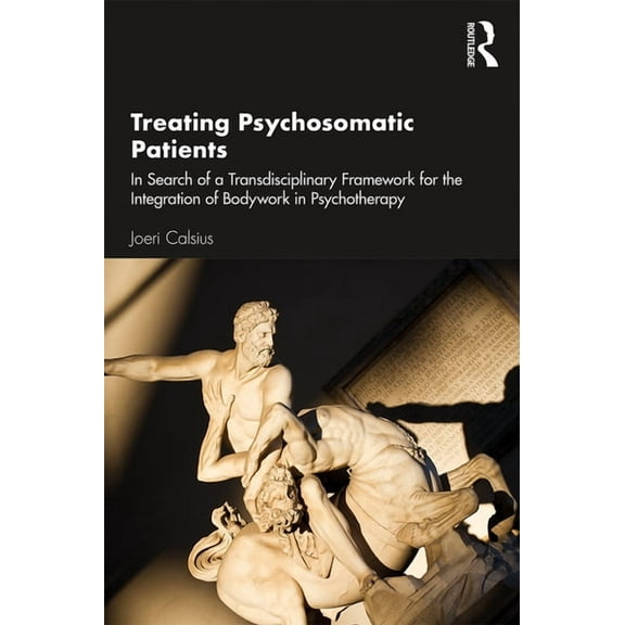Treating Psychosomatic Patients: In Search of a Transdisciplinary Framework for the Integration of Bodywork in Psychothe, (Paperback)