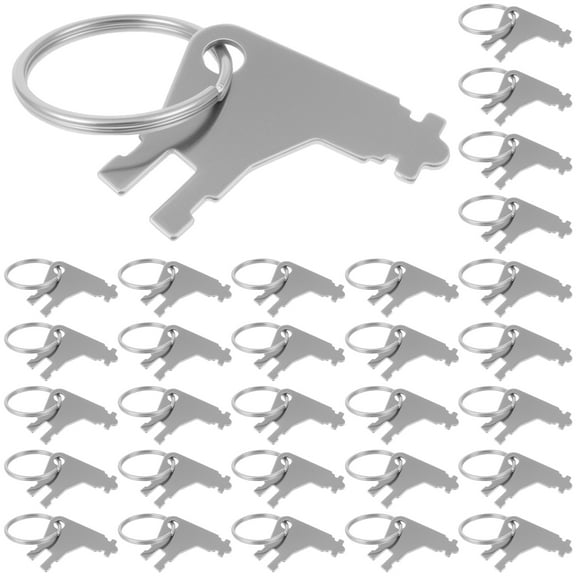 24/30Pcs Toilet Tissue and Soap Dispenser Key Set with Rings Metal Hand Soap Dispenser Key Replacement for School Office