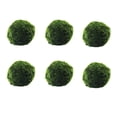 thumbnail image 1 of Decoraciones Del Tanque de Peces Bola Verde en Vivo para Ver Plantas Acuáticas Reales, Decoración Del Tanque de Peces, Botella de Bola de Algas Marinas, Bola de Algas Marinas de 4 cm, Plantas Del Tanq, 1 of 9