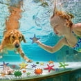 thumbnail image 4 of Juguetes para piscinas de buceo YUJUN, estrellas de mar grandes y coloridas para niños, 16 unidades, 4 of 7