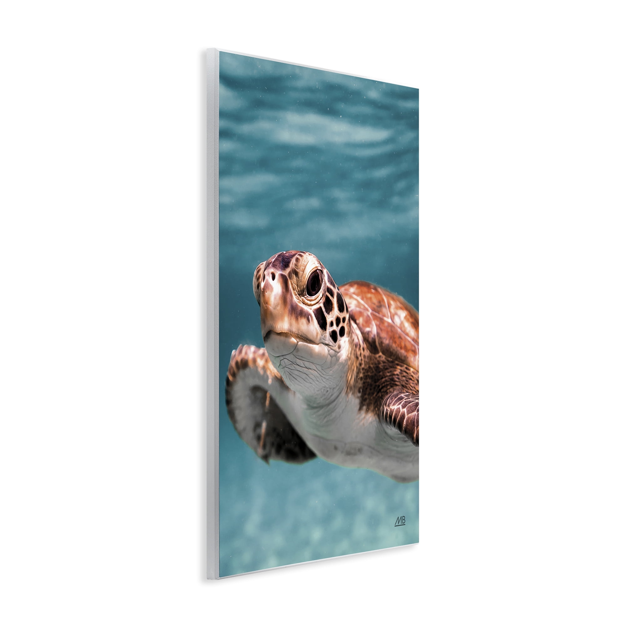 Stupell Industries Underwater Sea Turtle Swim Animals Photography Unframed Art Print Wall Art, 10 x 15