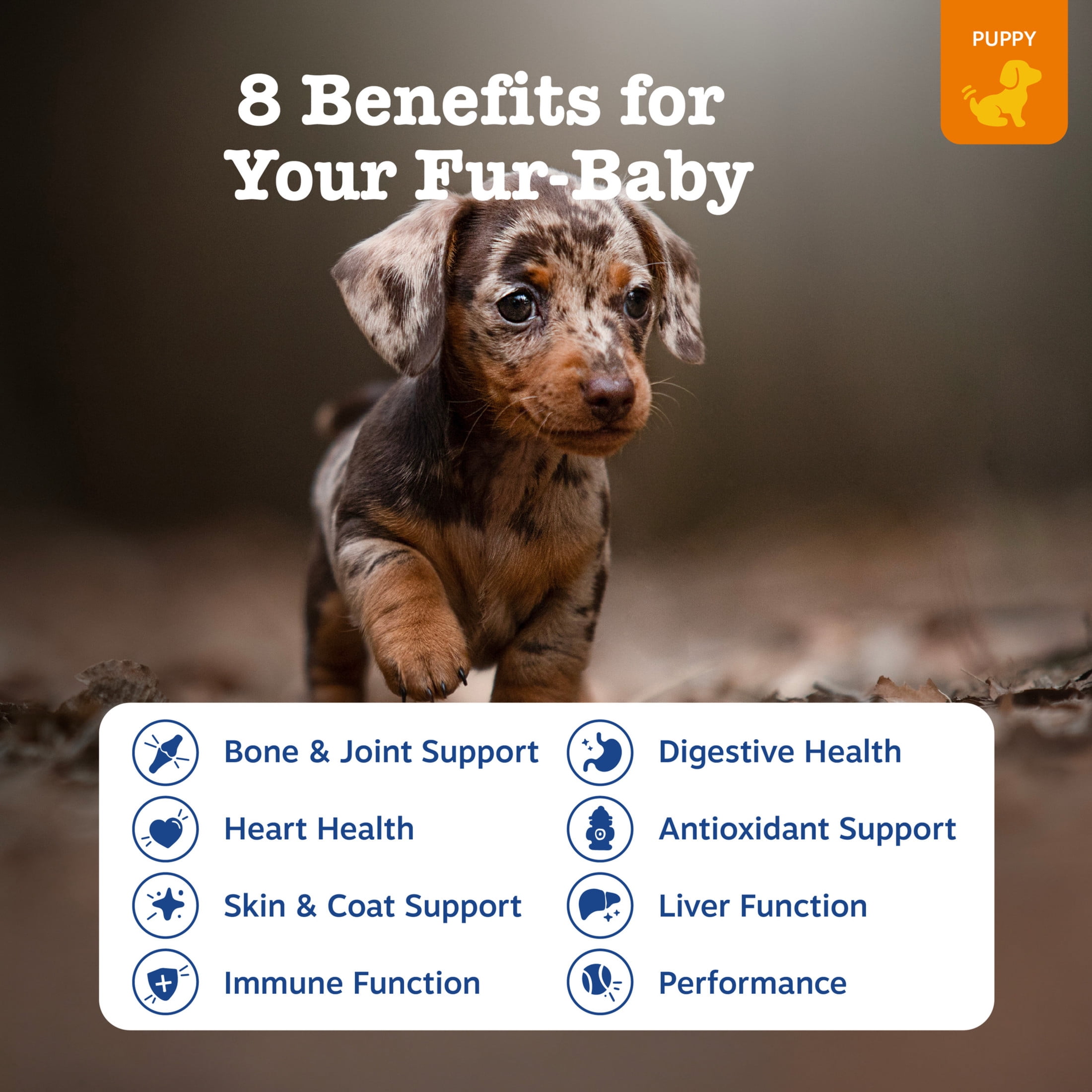 (3 pack) Zesty Paws Puppy 8-in-1 Multivitamin Bites Chicken Flavor Dog Supplement, 60 Count