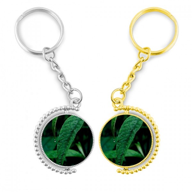 Planta de hoja de la fotografia de naturaleza Anillo de oro de metal llavero llavero